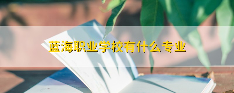 蓝海职业学校有什么专业