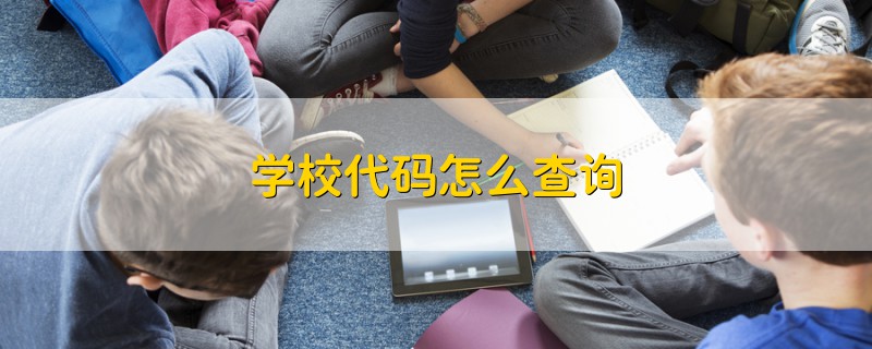 学校代码怎么查询