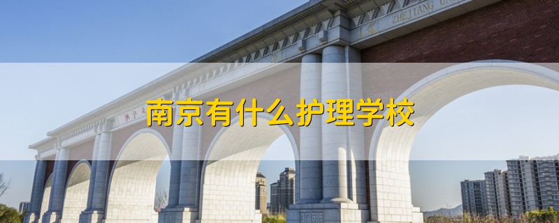 南京有什么护理学校