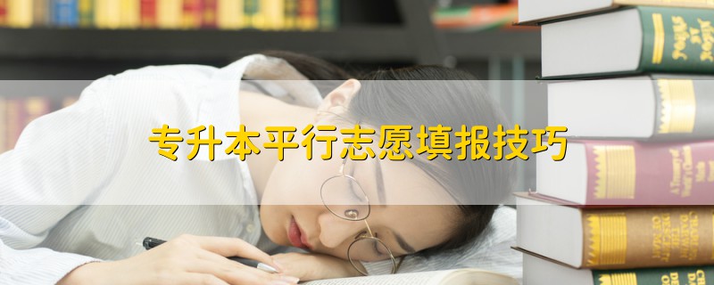 专升本平行志愿填报技巧