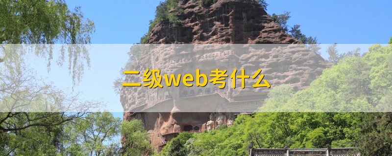 二级web考什么