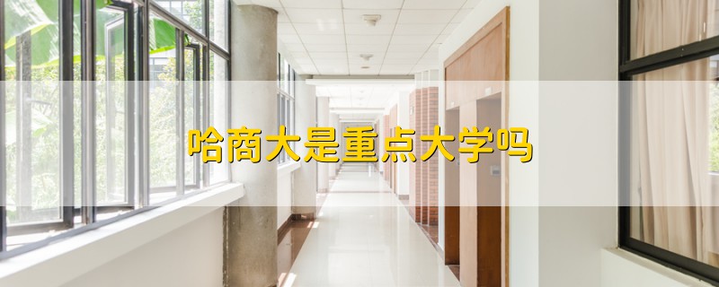 哈商大是重点大学吗