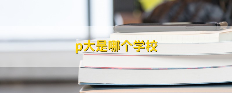 p大是哪个学校