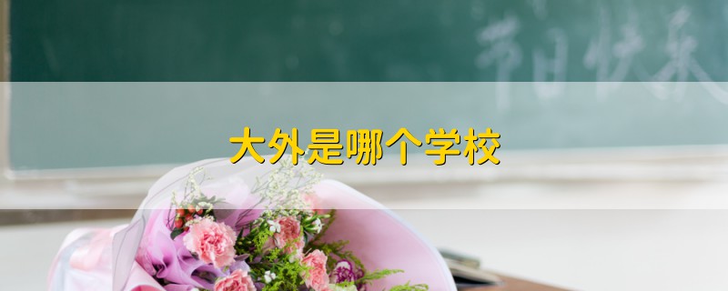 大外是哪个学校