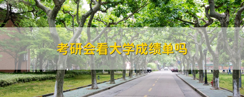 考研会看大学成绩单吗