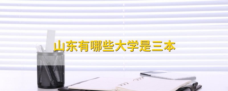 山东有哪些大学是三本