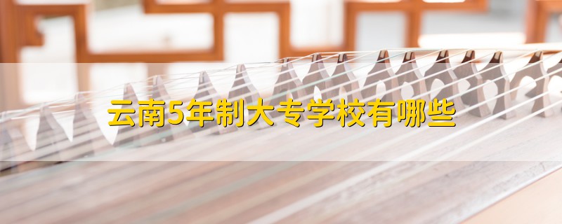 云南5年制大专学校有哪些