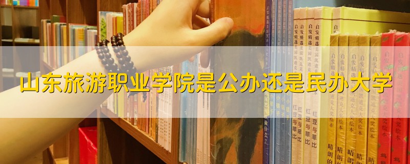 山东旅游职业学院是公办还是民办大学