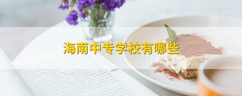 海南中专学校有哪些