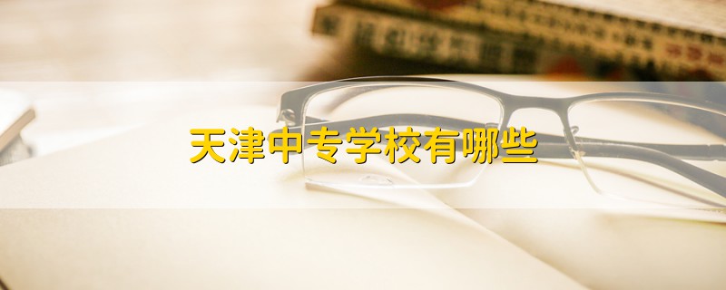 天津中德職業技術學院,天津電子信息職業技術學院,天津交通職業學院