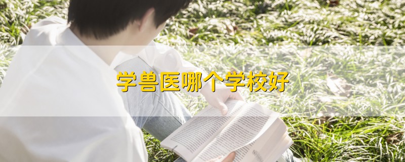 学兽医哪个学校好