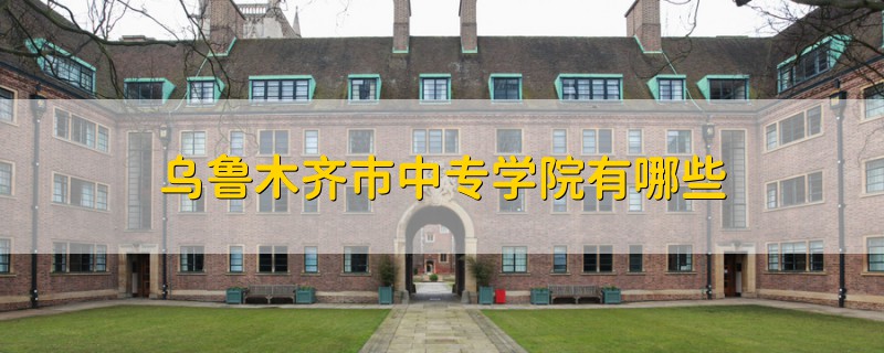 乌鲁木齐市中专学院有哪些