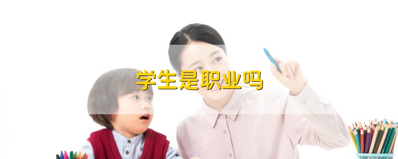 学生是职业吗