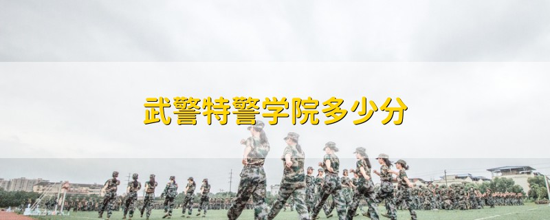 武警特警学院多少分