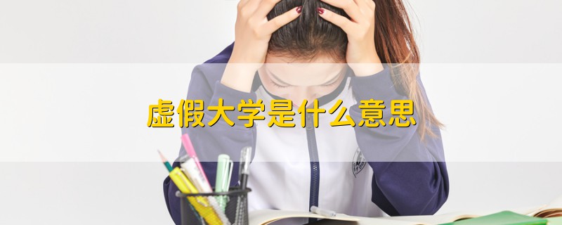 虚假大学是什么意思