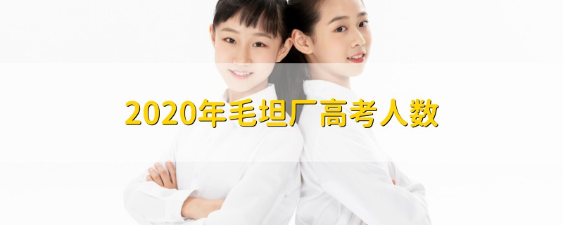 2020年毛坦厂高考人数