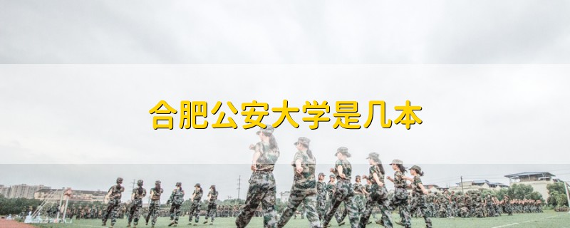 合肥公安大学是几本