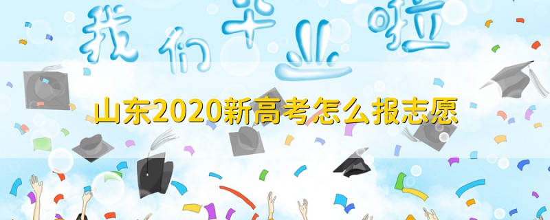 山东2020新高考怎么报志愿