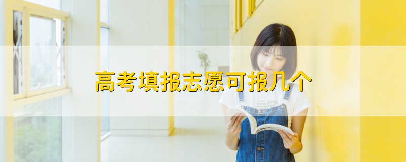 高考填报志愿可报几个