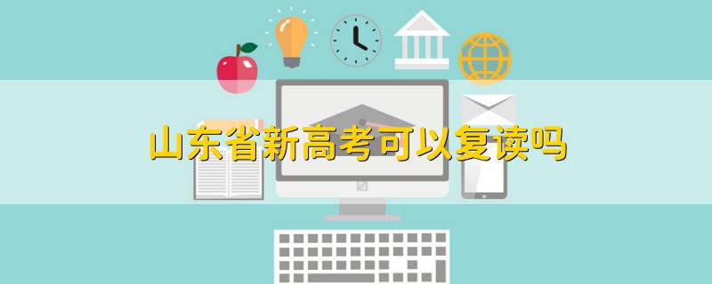 山东省新高考可以复读吗