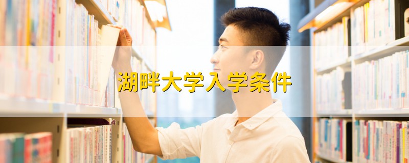 湖畔大学入学条件