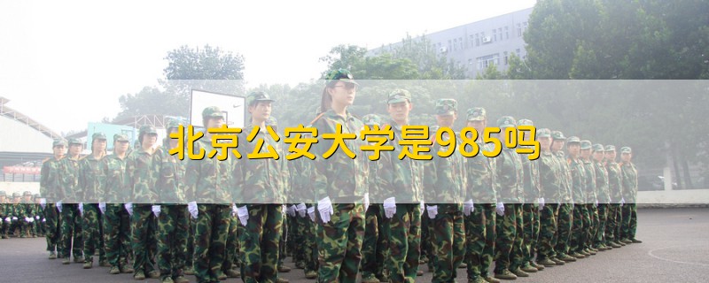 北京公安大学是985吗