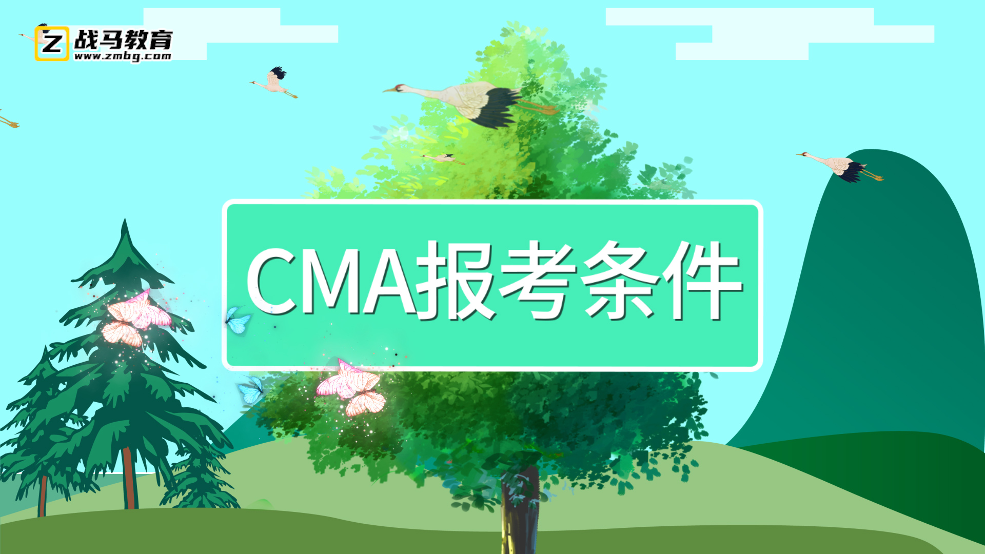 cma报考条件