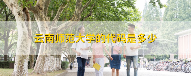 云南师范大学的代码是多少