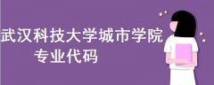 武汉科技大学城市学院专业代码