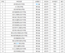 武汉公办专科学校有哪些