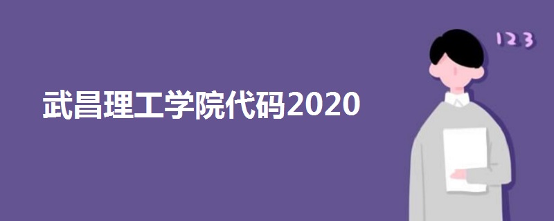 武昌理工学院代码2020