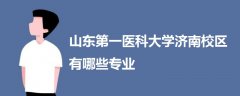 山东第一医科大学济南校区有哪些专业