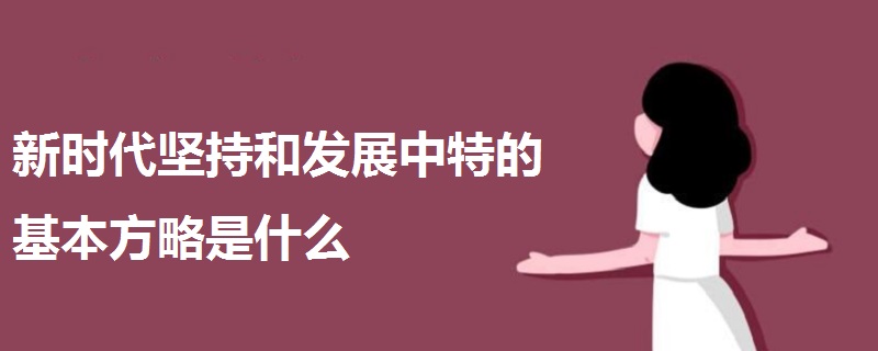 坚持和发展中特的基本方略是什么