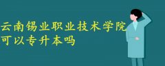 云南锡业职业技术学院可以专升本吗