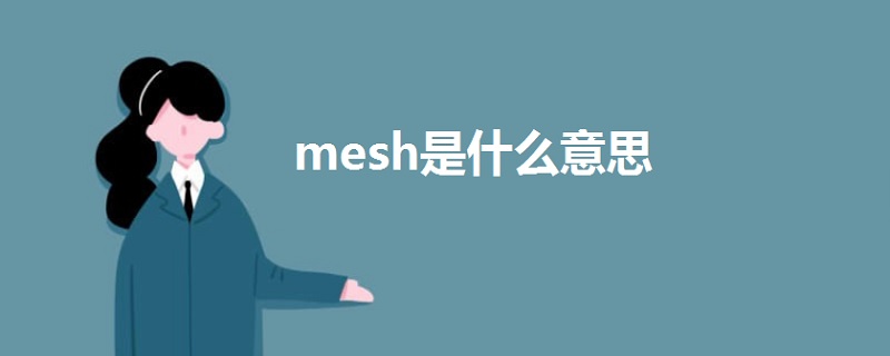 mesh是什么意思