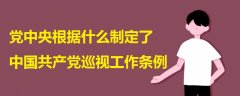 党中央根据什么制定了中国共产党巡视工作条例