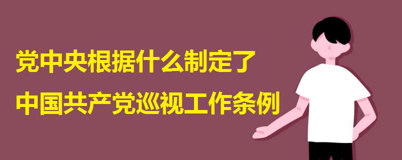 党中央根据什么制定了中国共产党巡视工作条例