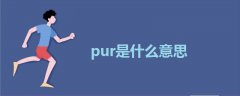 pur是什么意思