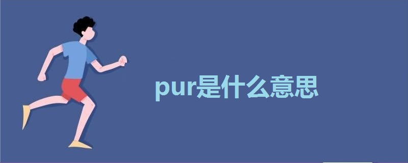 pur是什么意思