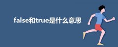 false和true是什么意思