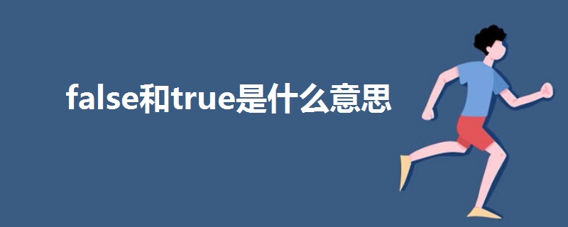 false和true是什么意思