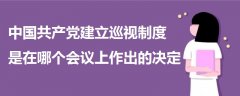 中国共产党建立巡视制度是在哪个会议上作出的决定