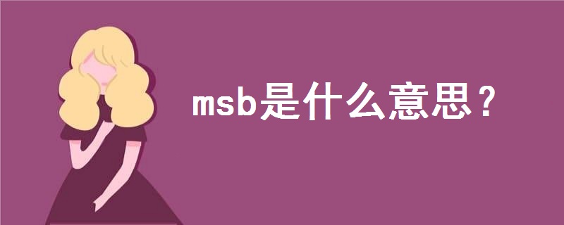 msb是什么意思