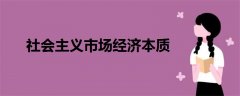 社会主义市场经济本质