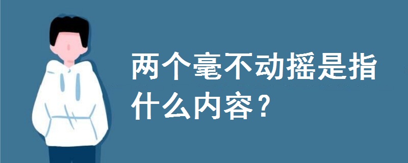 两个毫不动摇是指什么内容