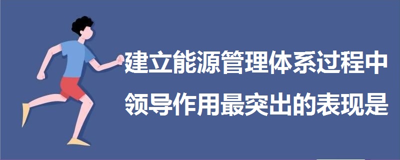 建立能源管理体系过程中领导作用最突出的表现是