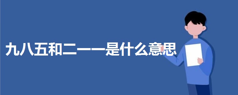 九八五和二一一是什么意思