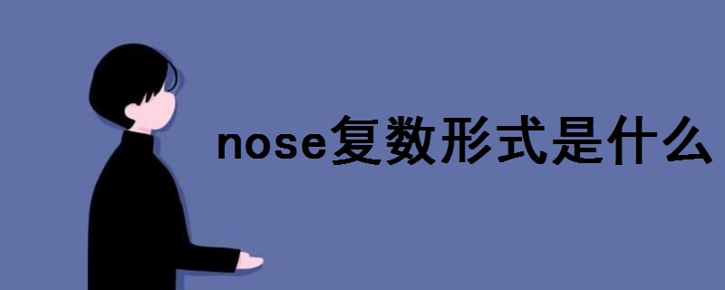 nose复数形式是什么