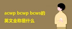 acwp bcwp bcws的英文全称是什么