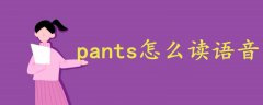 pants怎么读语音